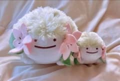 希少 ポケモン フルカラーアドバンス メタモン 初期