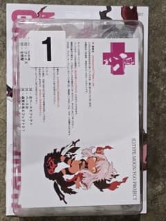 WF2026W ガレージキット 変身クロエちゃん グリズリーパンダ - メルカリ