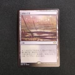 湿地の干潟 Marsh Flats MH2 モダンホライゾン2 MTG - メルカリ