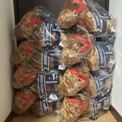 オズワルド ぬいぐるみ 肩乗せ 香港 HKDL マスコット | Japonya'daki