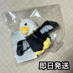 m13745326948_1.jpg?1761539493