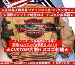 レアモデル立体刺繍】ハーレーダビッドソン 本革ジャケット