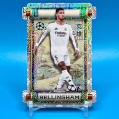 m24677965920_1.jpg?1762190644