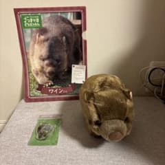 m24837455013_1.jpg?1740996753