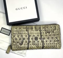 m24899551341_1.jpg?1740381539