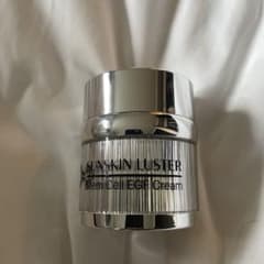SUNSKIN LUSTER Steam Cell EGF Cream - メルカリ