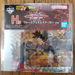 m26247511092_1.jpg?1734841948