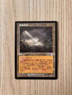MTG 廃墟の地 / Field of Ruin 旧枠 TSR 日本語版 - メルカリ