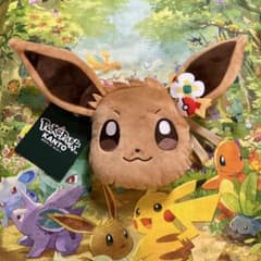 限定】ポケパーク カントー パスケース ポーチイーブイ - メルカリ