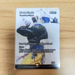 m28894224056_1.jpg?1749526428