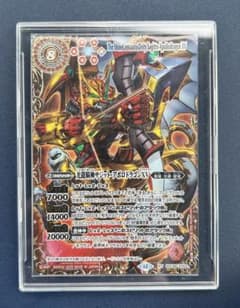 m29047411705_1.jpg?1760932829