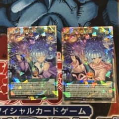 宙上がりコスモス姫 絵違い 通常絵 オーバーラッシュレア - メルカリ