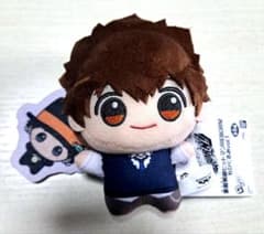 家庭教師ヒットマンREBORN! ちびぐるみ 沢田綱吉 【新品•未使用】➁