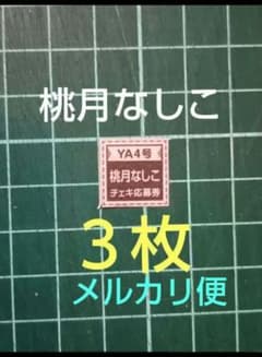 3枚 応募券 桃月なしこ 直筆サイン入りチェキ 抽プレ ヤングアニマル