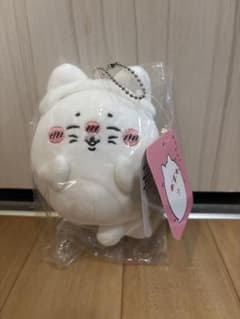 ナガノの水族館 アザラシぬいぐるみ ねこ くじ D賞 - メルカリ