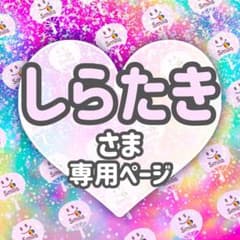 ⚠️3月9日必着【龍也】専用ページ♡うちわ文字 オーダー ハングル