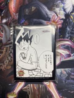 m21360210167_1.jpg?1733506391