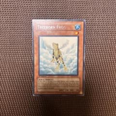 黄泉ガエル 旧アジア版？ - メルカリ