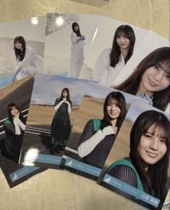 小坂菜緒 日向坂46 クリフハンガー MV 生写真 8種コンプ ① - メルカリ