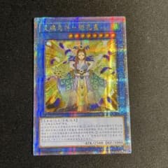 m22845783897_1.jpg?1754805640 m22845783897_1.jpg?1754805640