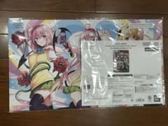 m23454979262_1.jpg?1764733929