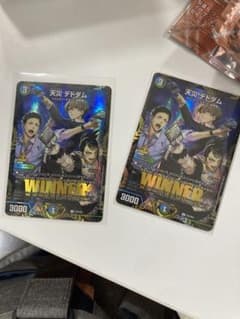 m34316587189_1.jpg?1748079433