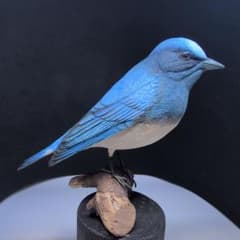 m34437975585_1.jpg?1760592645