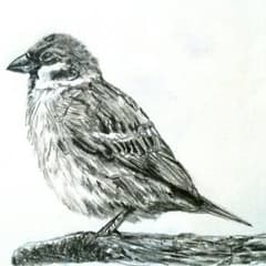 m34453109041_1.jpg?1493535204