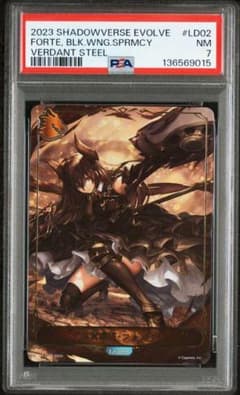 PSA 黒翼覇道・フォルテ LD リーダー シャドウバースエボルヴ シャドバ