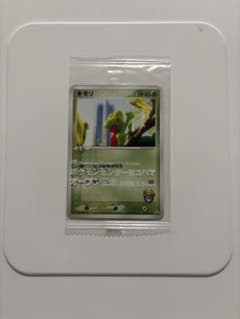 キモリ 037/PCG-P 2004 ポケモンセンター - メルカリ