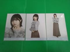 m37636824179_1.jpg?1738471383