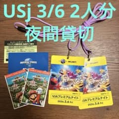 3/6 ユニバーサルスタジオジャパン 貸切ナイト 招待チケット2枚 貸切