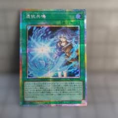 や*ん様 遊戯王 憑依共鳴 プリズマティックシークレットレア - メルカリ