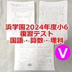 浜学園小6 2024年度 Vクラス復習テスト国語 算数 理科 1年分 - メルカリ