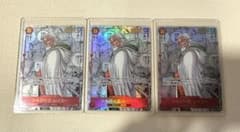 安心鑑定利用可能】シルバーズ・レイリー SEC スーパーパラレル