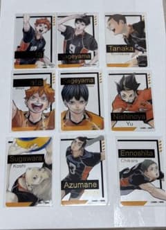 m39331257423_1.jpg?1749306736