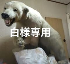 m39521468927_1.jpg?1746509368