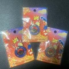 3個セット ポケモンセンターヒロシマ ロゴピンズ 新品未開封 ポケセン