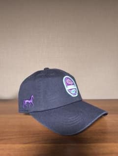 ブリーダーズカップ 2025 フォーエバーヤング キャップ 競馬 アメリカ