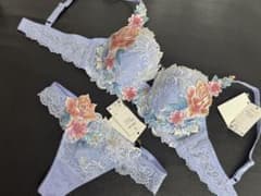 サルート 09グループ インドの花嫁 E70&ソングM PU 店舗限定 - メルカリ