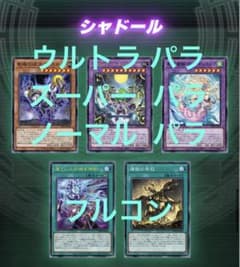 ターミナルワールド3 terminal world3 パラ フルコン シャドール