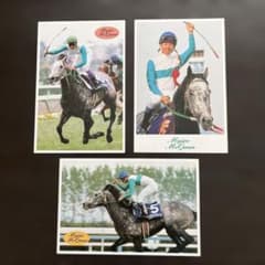 競馬 メジロマックイーン ポストカード 3枚セット - メルカリ