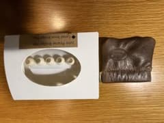 John Pearse Camel Bone Bridge Pins 5個セット - メルカリ