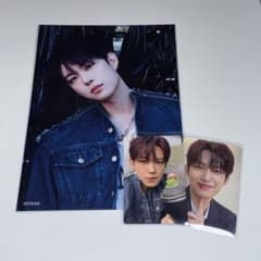 ALPHA DRIVE ONE トレカ タワレコ限定 フライヤー ゴヌ① - メルカリ