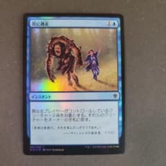 m33140460405_1.jpg?1676706775