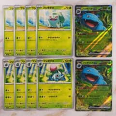 m33820983625_1.jpg?1715837608