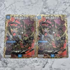 神帝、完成せり～ ルナティックフォー シークレット シク 2枚 - メルカリ