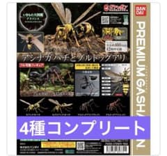 新品】いきもの大図鑑アドバンス アシナガバチとブルドックアリ 4種