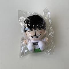 週末限定値下】佐野晶哉 ちびぬい - メルカリ