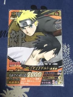 m44504571992_1.jpg?1699189805